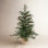 Julieta Pre-Lit Pine Christmas Tree