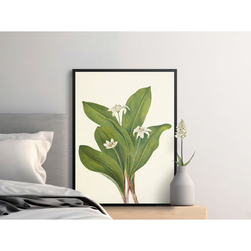 Anchoretta Floater Frame Print, 24x36