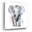 Epic Art «Baby Elephant» par Petals Prints Design, «Baby Elephant» par Petals Prints Design-101769498
