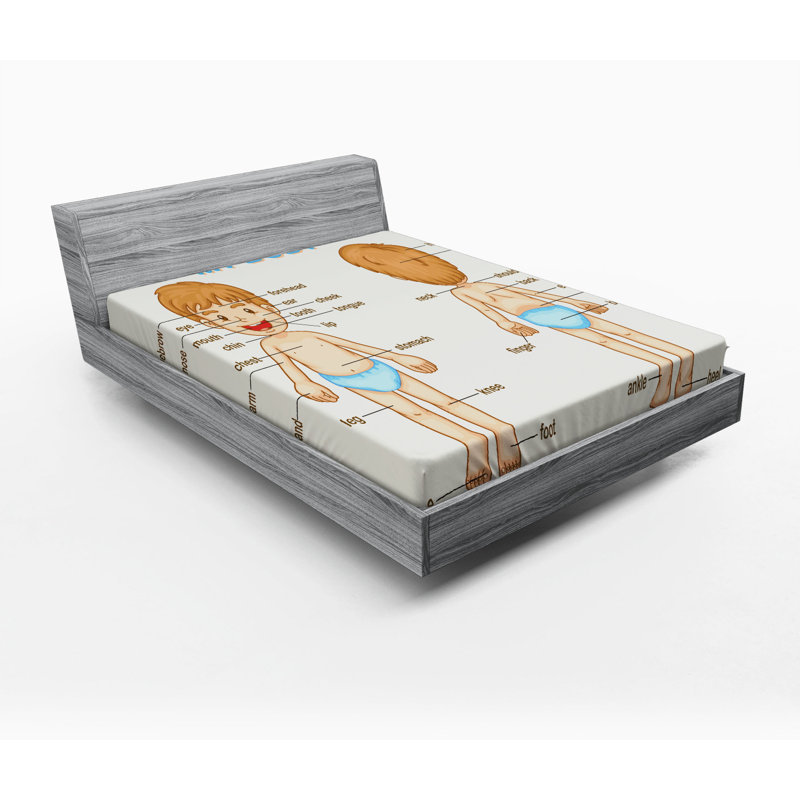 Drap-housse éducatif, Drap-housse grand