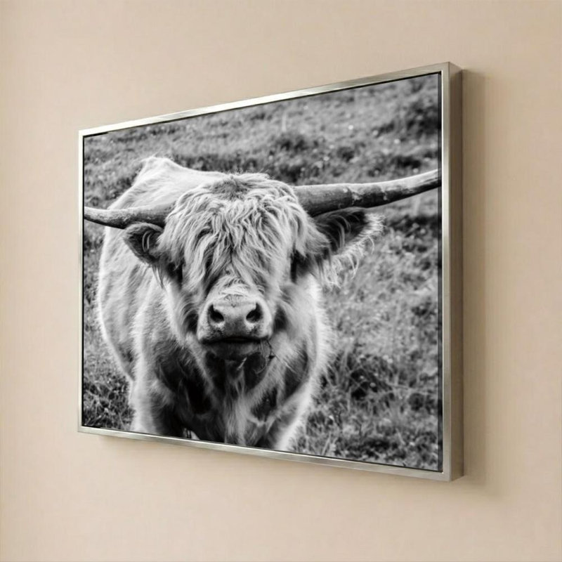 «Highland Cow Staring Contest» par Nathan Larson - impression sur toile, H 36 po x l 48 po, Flat Floating Frame, Argent