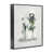 Giclée encadrée noir minuit