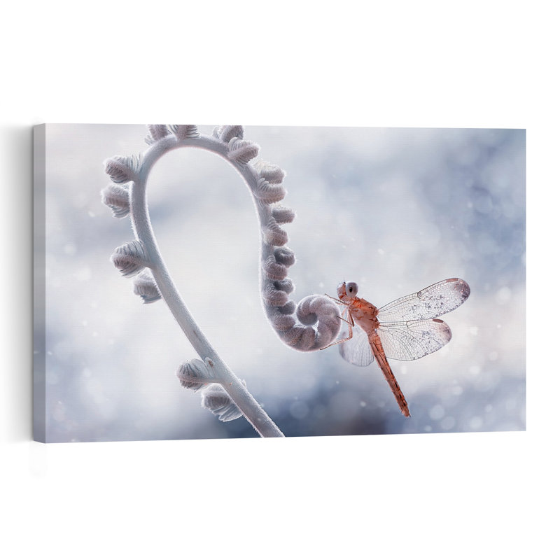 Ethereal Dragonfly And Fern Delicate Ethereal Peaceful Dragonfly Fern Nature Spring Wall Art Print 1 Piece Wrapped Canvas Wall Art