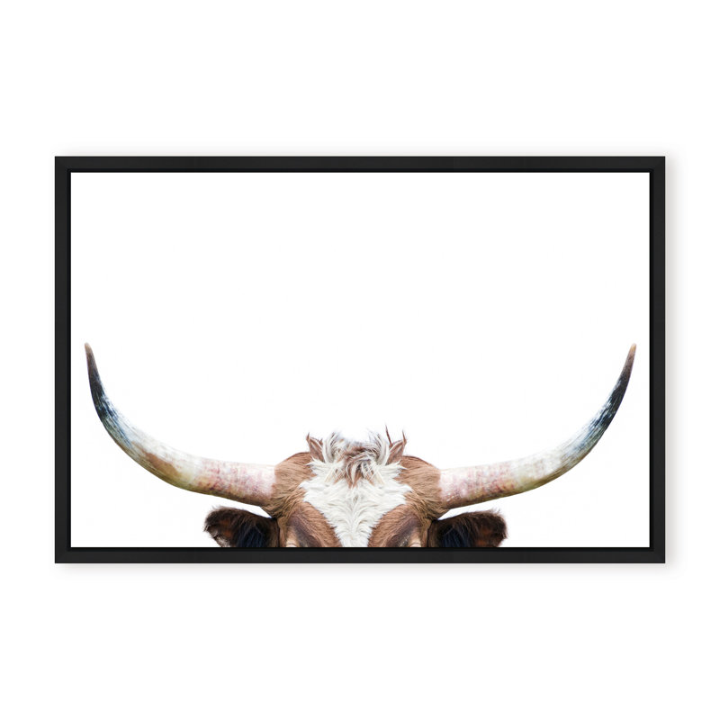 Nature Inspired Peeking Longhorn Cow by  - Picture Frame Photograph on Paper, 16" H x 24" W x 1.125" D, Framed Matted Print