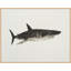 Ocean Creatures 6 Print by Kim Kimbro-1986772171