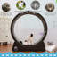 Roue d'exercice pour chat avec jouet interactif pour chats d'intérieur avec piste remplaçable et verrou de sécurité-2050545213