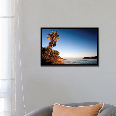 «Palm Tree on Beach at Sunset, Culebra Island, Puerto Rico», reproduction de photo sur toile