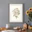 «Twig Study II», impression encadrée-1326240120-1326240121