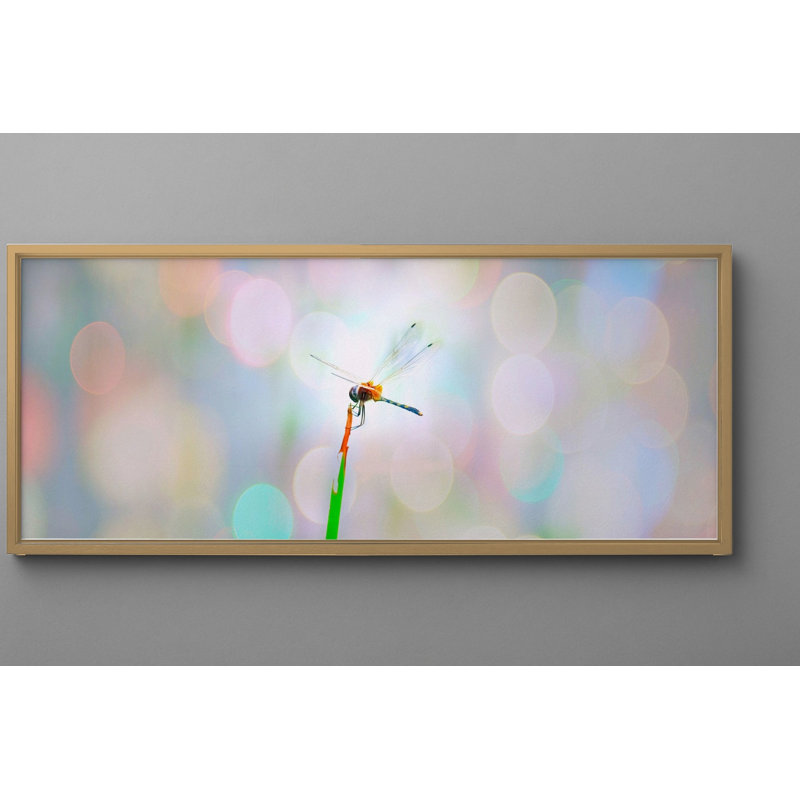 Libellule sur tige, art mural encadré, H 22,5 po x l 62,5 po, Chêne naturel
