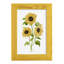 Sunflower Trio I, reproduction d'art encadrée-66885247-66885220
