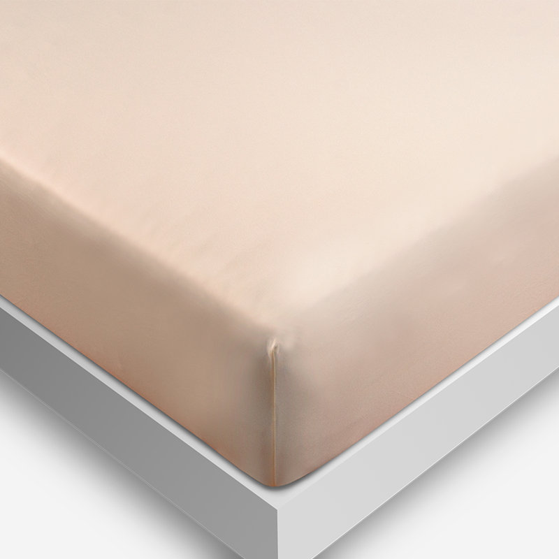 Light Grey Twin XL Polyester Microfiber Sheet Set with Pillowcases