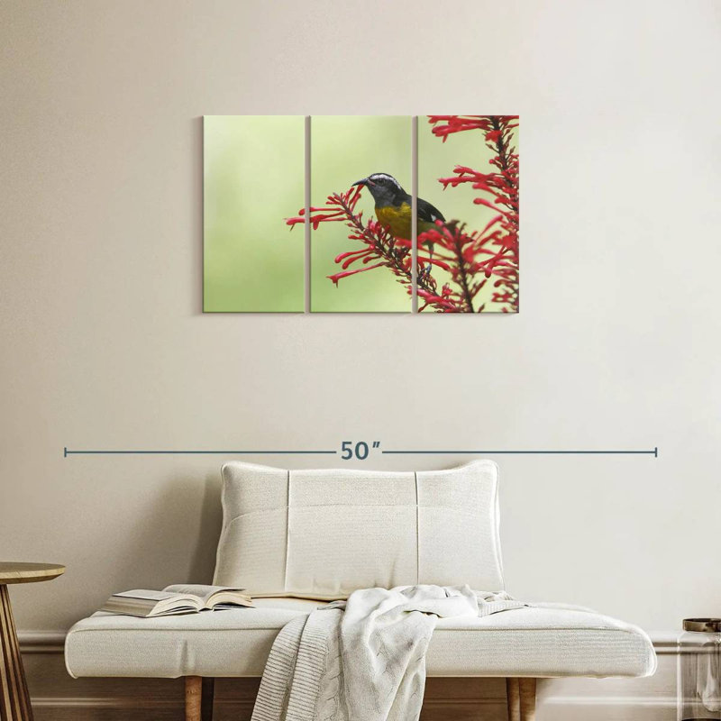 Ronce nourrissant un oiseau bananier, H 20 po x l 33 po