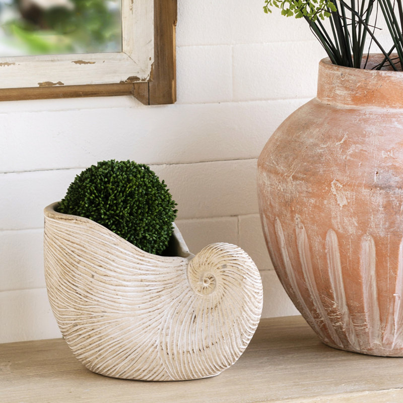 Jardinière moderne, pot à fleurs en forme de coquille Nautilus