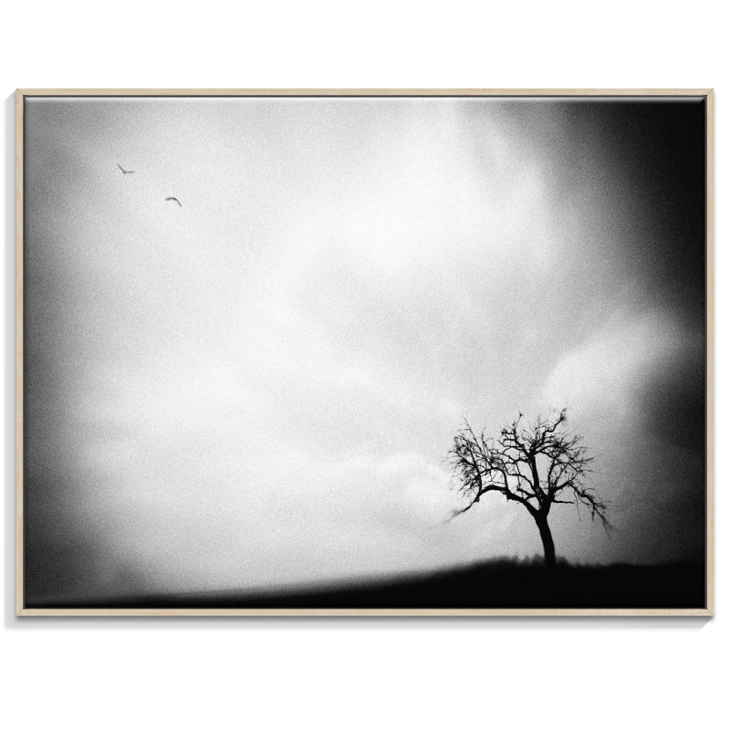 Print on Canvas, 41cm H x 51cm W, Timber Floater Frame
