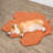  Leaf Shape Pet Blanket, Maple Red