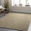 Viera Wool Area Rug-1608670635-1529904767
