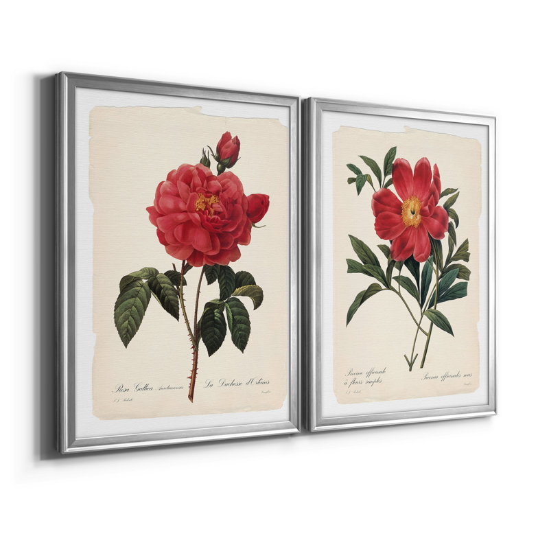 «Red Botanical III», ensemble de 2 reproductions d'art sur toile encadrées, H 18,5 po x l 49 po x P 1,5 po, Argent