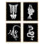 Squelette humain, os de dinosaures, poissons et serpents, noir et blanc, impression sur papier, 4 pièces-97770296-97770301