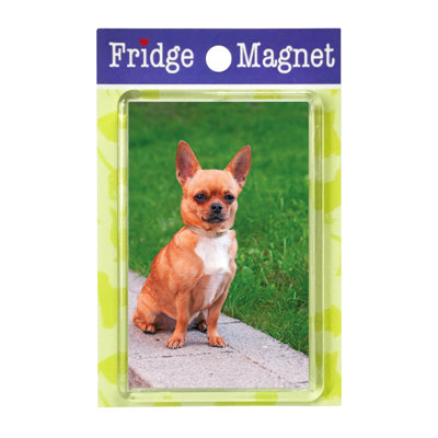 Fridge Magnet