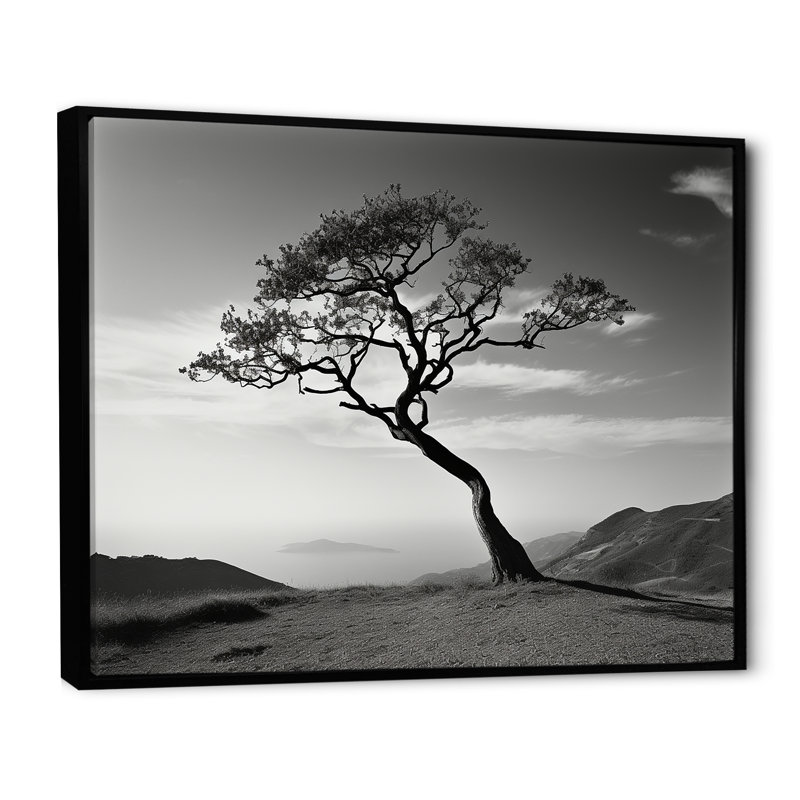 Arbre de solitude noir et blanc, horizon côtier I - impression, H 34 po x l 44 po x P 1,5 po, Cadre flottant noir