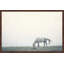 Parvez Taj - Single Picture Frame Print-19701497