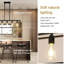 Primeau 5 - Light Black Kitchen Island Pendant