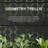 Rohun Galvanized Metal Rectangular Planter with Trellis and Locking Wheels -1499419180-1478089835