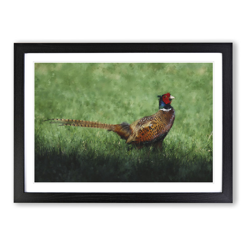 Pheasant Bird Vol.2 - Framed Print, Black Framed, 36cm H x 48cm W x 2cm D