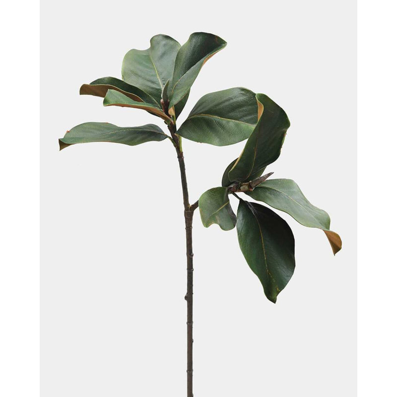 Faux Magnolia Branch