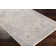 Jazive Oriental Indoor Rug