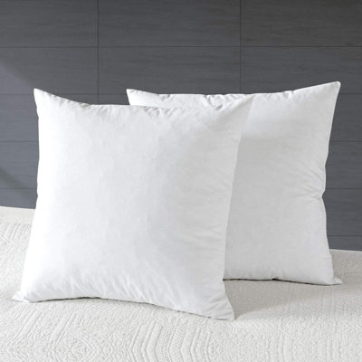 Ensemble de 2 coussins décoratifs Soft Feather