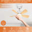 Skylan 45cm 5 - Blade E27 Socket Ceiling Fan with LED Light and Remote-123721825