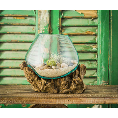 Jarom Glass Driftwood Terrarium Planter 