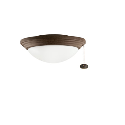 Ensemble d'éclairage extérieur pour bol et ventilateur de plafond à DEL 2 lumières