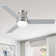 Amici Modern 48'' Flush Mount Ceiling Fan with LED Lights and Remote Control