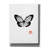 'Papillon' by Pechane, Canvas Wall Art-613981663