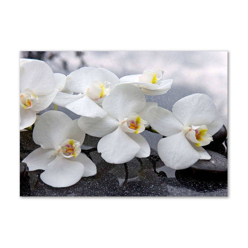Orchid - Wrapped Canvas Print