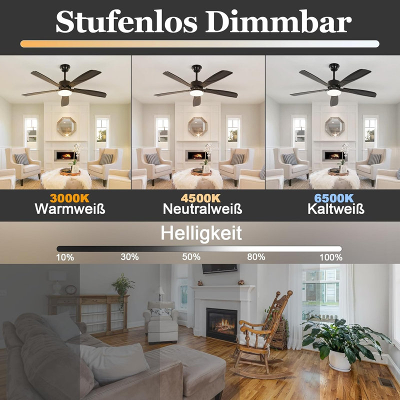 Ceiling Fan