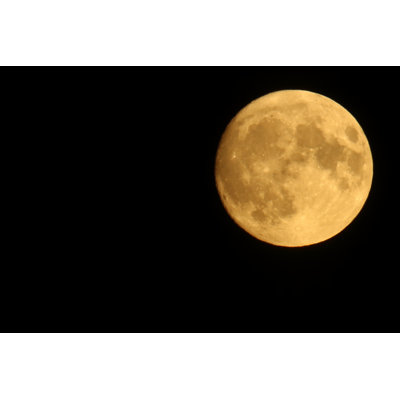 Harvest Moon by Peter Topp Enge Jonasen