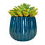 Pot en céramique de 4 po, plante décorative-100896427