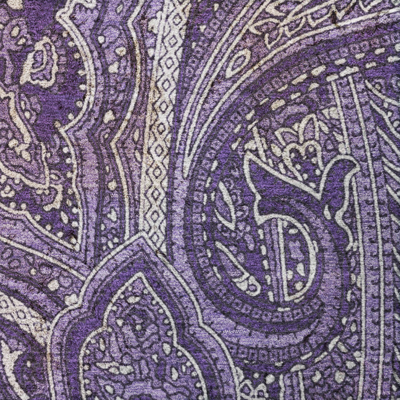 Tapis cachemire ADS623 de qualité supérieure lavable à la machine, Purple, 10' x 14'