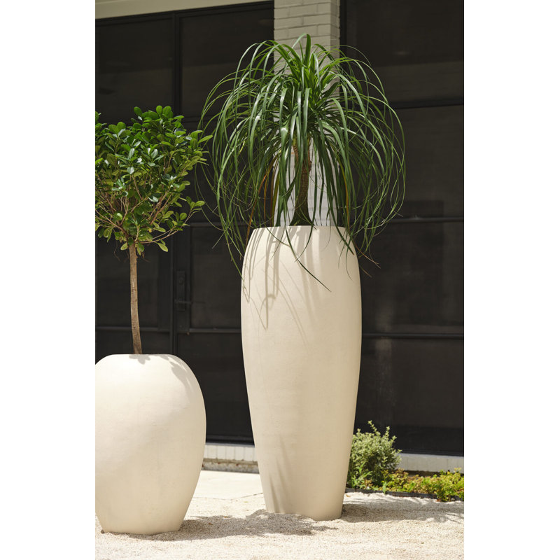 Elvia 25"x 58.75"