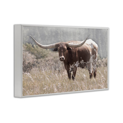 Texas Longhorn, photographie giclée, design par Carol Robinson