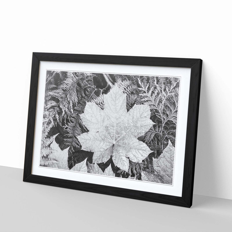 Ansel Adams - Single Picture Frame Print, Black