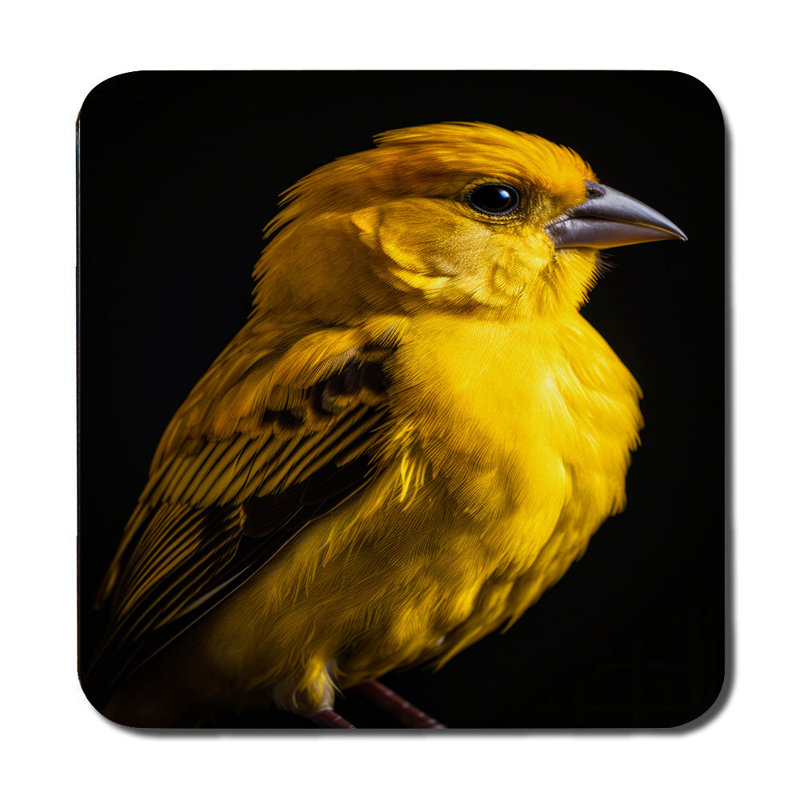 Yellow Bird Placemats And Coasters Set 12 Piece 11x8
