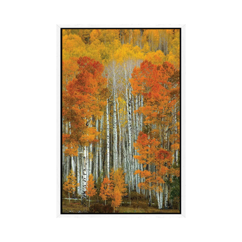 Dalmatian Autumn 1 Piece Wall Art on Canvas, 66.04 cm H x 45.72 cm W, White Framed