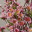 Arbre à fleurs artificielles-23975457