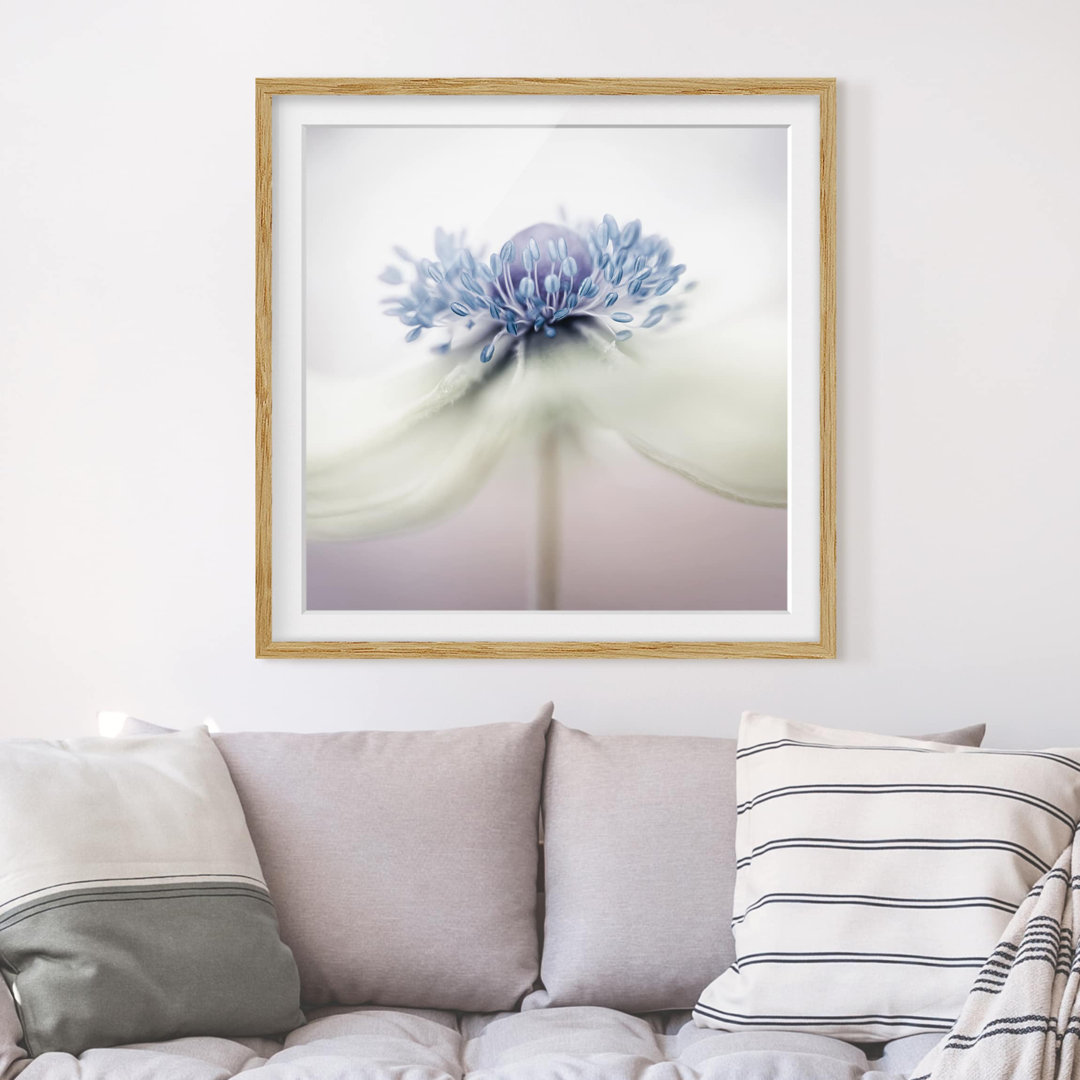 Gerahmtes Papierbild Anemone in Violett