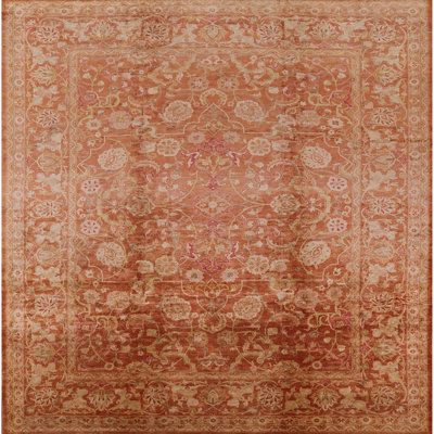 Sejer Oriental Indoor Rug