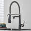Belfry Kitchen Keneisha Pull Down Kitchen Faucet